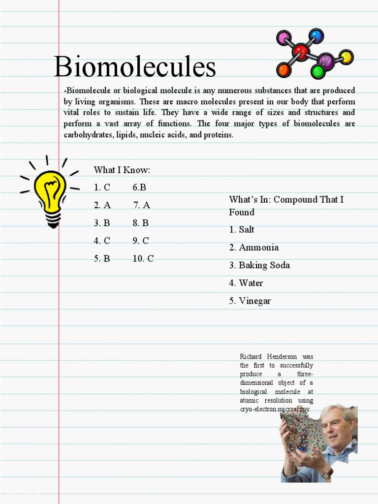 The Four Major Types of Biomolecules Carbohydrates, Lipids, Nucleic