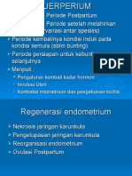 Patologi Puerperium. (Kebidanan Sapi) PPT