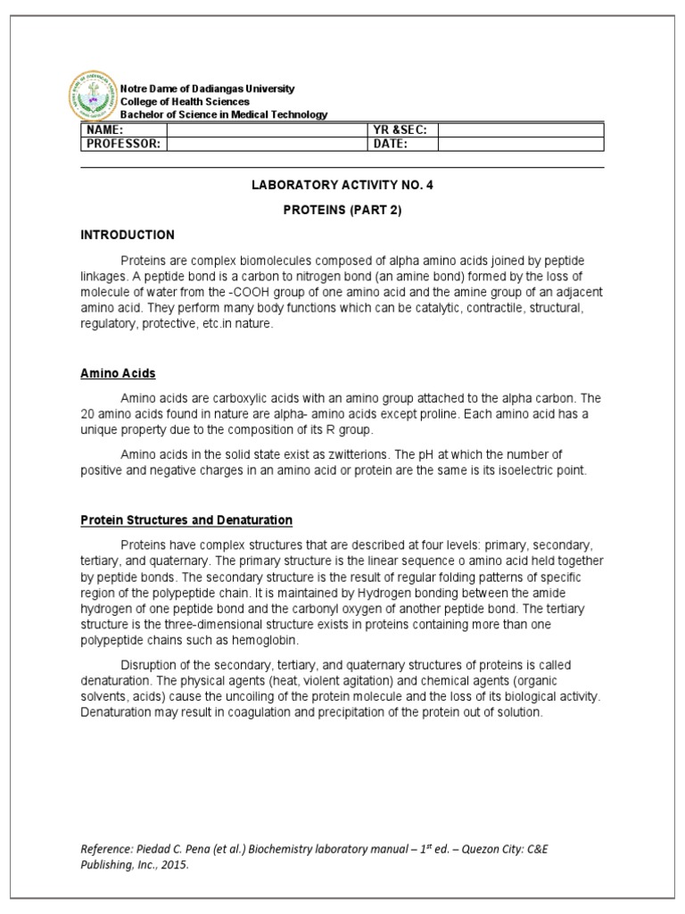 Protein Denaturation Effect of Heat and Alcohol PDF Amino Acid