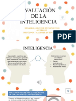 Ova Evaluacion de La Inteligencia