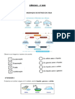 4º Ano Caderno Ciências Outubro