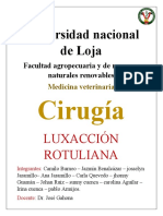 Informe Sobre Luxación