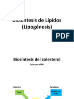 Biosintesis de Acidos Grasos y Aterosclerosis