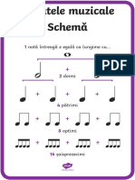 Ro2 Mu 1 Schema Duratelor Muzicale Plan Cu Diferite Dimensiuni