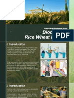 Biodegradable Rice Wheat Fiber Plate: Product Design Development Survey