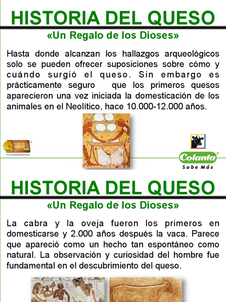 Historia del Queso: Orígenes y Variedades | PDF | Queso | Leche
