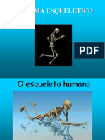 Sistema Esqueletico