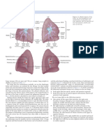 Pathology of The Lung