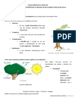 Ficha Formativa Ciências