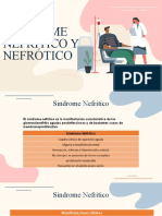 SD Nefrótico y Nefrítico