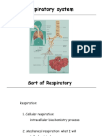 Anatomy and Histology of the Respiratory System