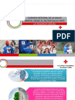 4.4 Cuidado Integral de La Salud Mental Desde El Sector Salud Ante La Violencia Sexual