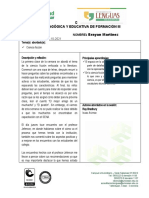 S. 10 - Formato de Diario Pedagógico
