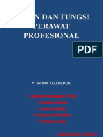 Peran Dan Fungsi Perawat Profesional