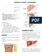1 - Anatomia Cirúrgica Do Fígado e Vias Biliares