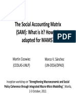 The Social Accounting Matrix (SAM) What Is It Ho