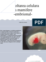 Dezvoltarea Celulara La Mamifere