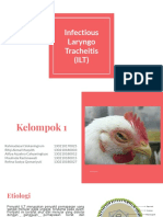 Kelompok 1 - Infectious Laryngo Tracheitis (ILT) - Patologi Unggas