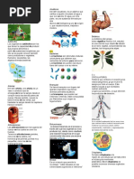 Anfibios y acuáticos: organismos que viven en tierra y agua
