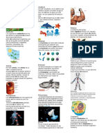 Diccionario de Ciencias Naturales