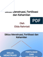 Siklus Menstruasi, Fertilisasi Dan Kehamilan