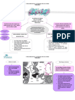 Parénquima pulmonar: Células y funciones