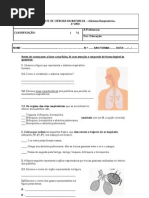 Mini Teste Sistema Respiratório-2ºP-6º4ª e 6º6ª
