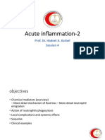 Acute Inflammation 2