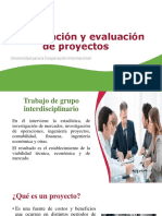 Formulacion y Evaluación de Proyectos