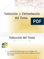 Selección y Delimitación Del Tema Ensayo