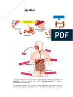 Procesos Digestivo