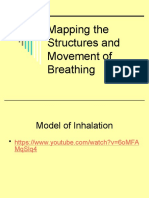 Mapping The Structures and Movement of Breathing