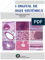 Atlas Digital de Histologia Sistemica UEL 2020