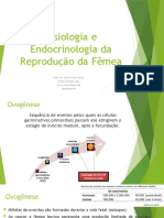 Aula 04 - Fisiologia e Endocrinologia Da Reprodução Da Fêmea