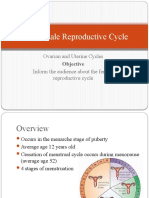 The Female Reproductive Cycle