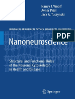 2010 Book Nanoneuroscience