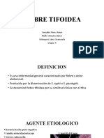 Tifoidea 2021