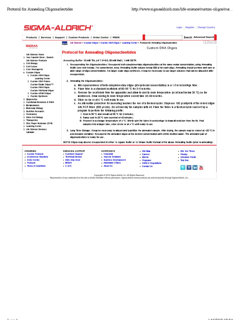 Protocol For Annealing Oligonucleotides PDF Oligonucleotide