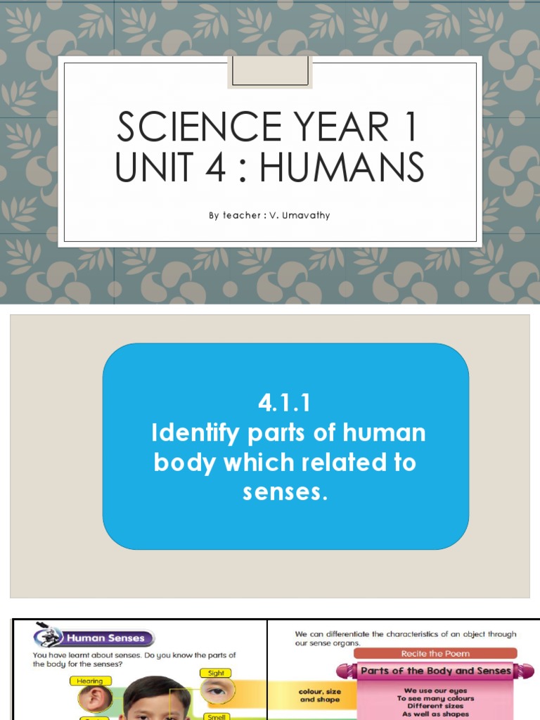 Science Year 1 Unit 4: Humans: by Teacher: V. Umavathy | PDF