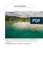 Informe Arrecifes de Roatán en Honduras