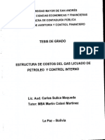 Tm-19 Estructura de Costos Del Gas Licuado de Petroleo y Control Interno