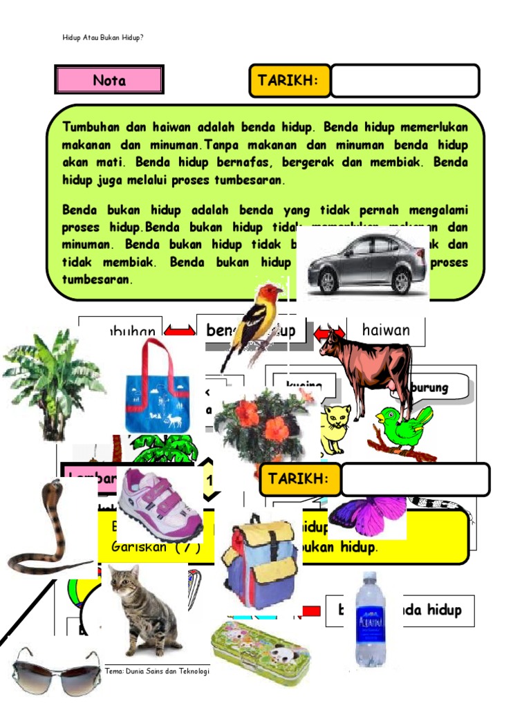1 1benda Hidup Dan Bukan Hidup Lembaran Kerja Pdf