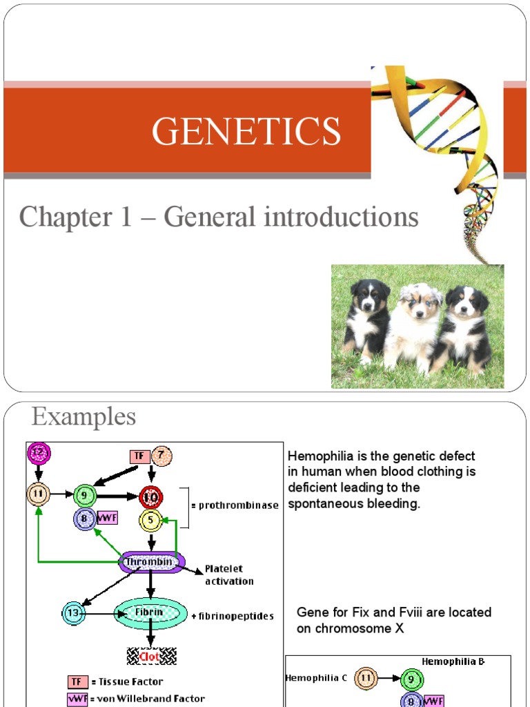 Genetics: Chapter 1 - General Introductions | PDF | Genetics | Gene