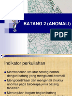 Anomali Batang