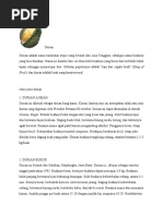 Download buah-durian by Yuliasky Stefy Vriskia Modenna SN54515993 doc pdf