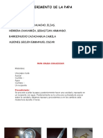 Informe Practico 5