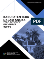 Kabupaten Tebo Dalam Angka 2021