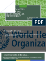 Determinantes Sociales de Salud Enfermedad KPGZ - Copia