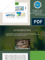 Clasificación, Superclase Gnatostomados y Grupos Fósiles