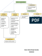 Mapa Conceptual-Osteo y Condrogénesis